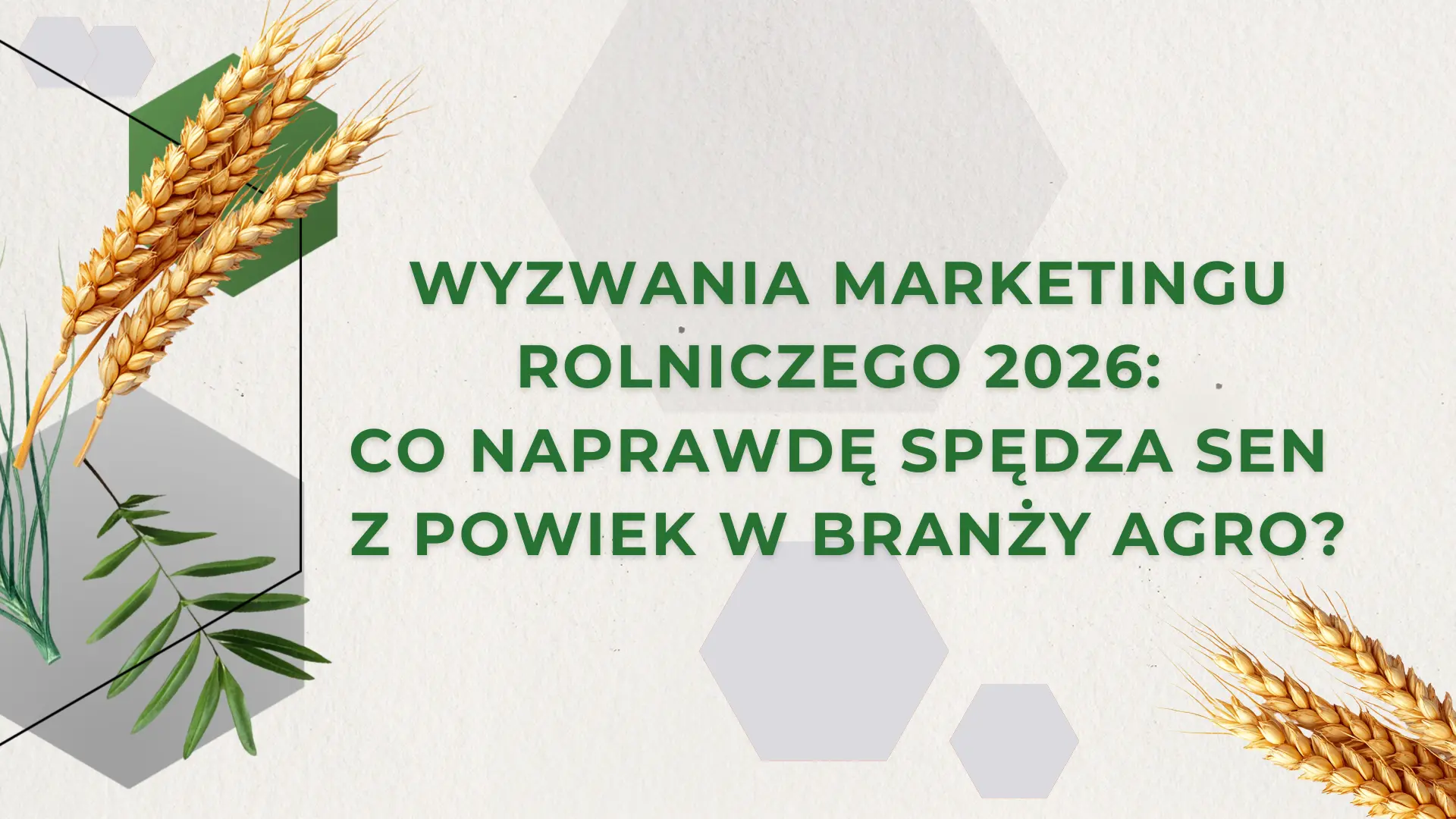 Banery-do-artykulow-na-oksuper.pl-11.2023-1366-x-797-px-14